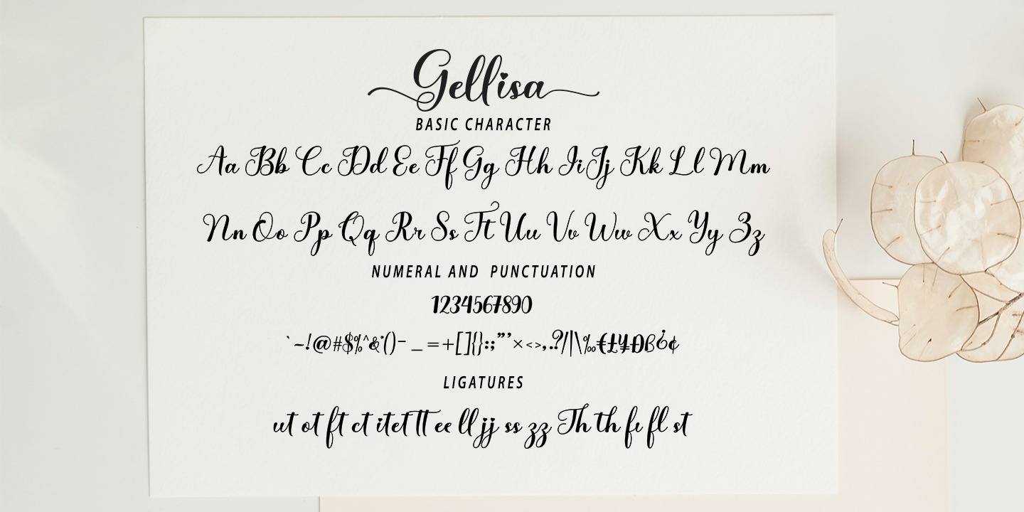 Example font Gellisa Script #2